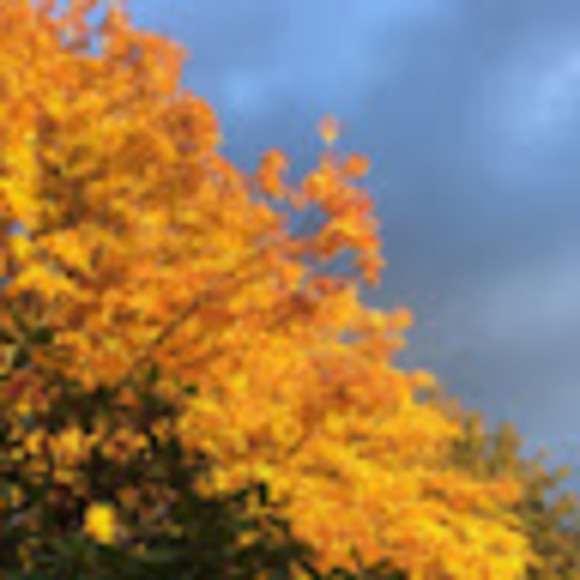 Meet your Posher, Rhian - Picture 1 of 1